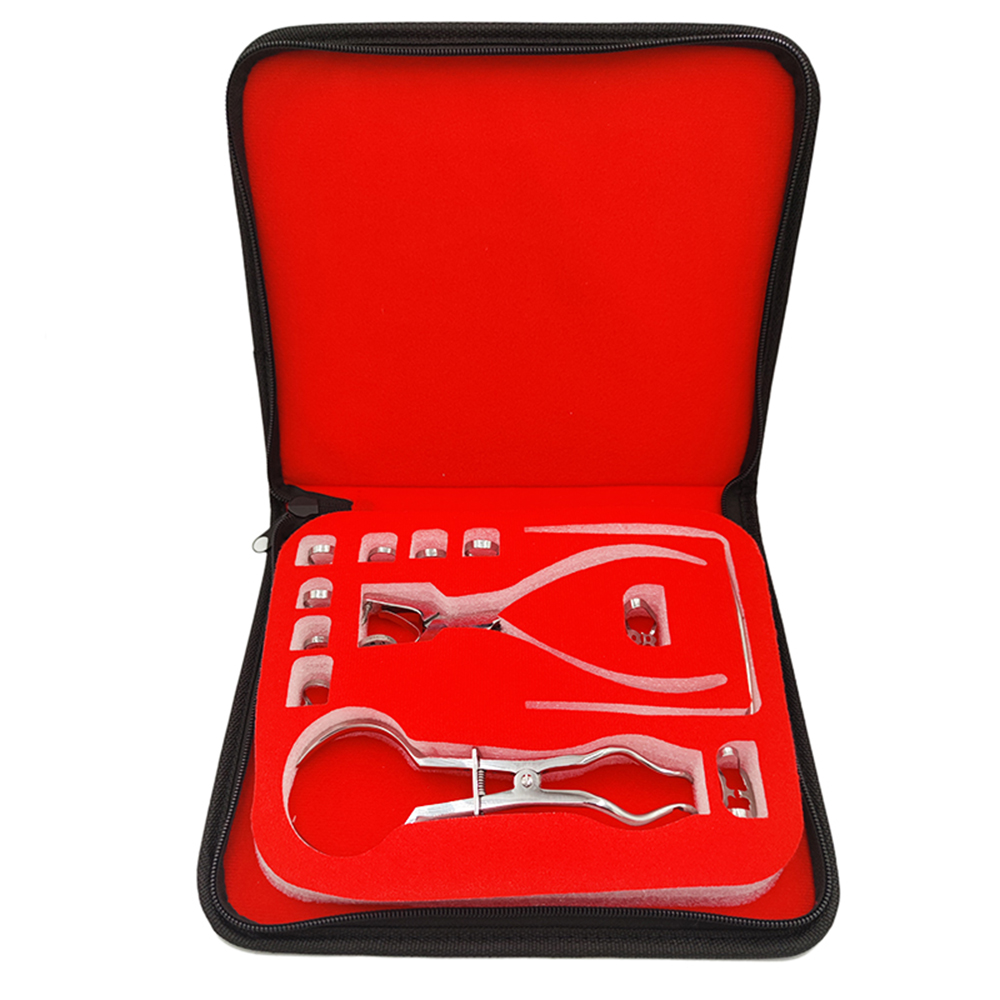 Leatherwork Tool Kit - Set di punzoni per diga per