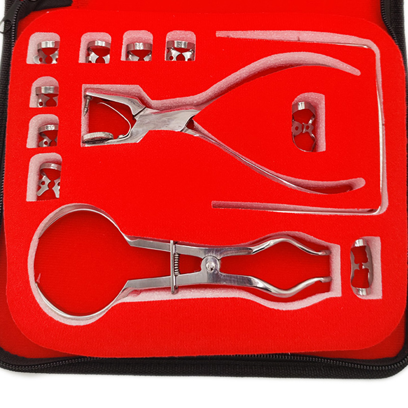 Set di punzoni per diga per od - Leatherwork Tool Kit recensione e prezzo